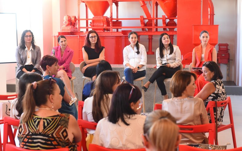 Panellists during the Women in Tech Pink event. Photo: Chris Sant Fournier