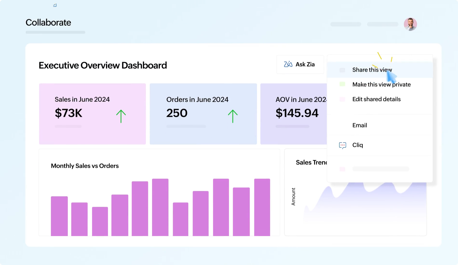 Zoho Analytics Collaborate